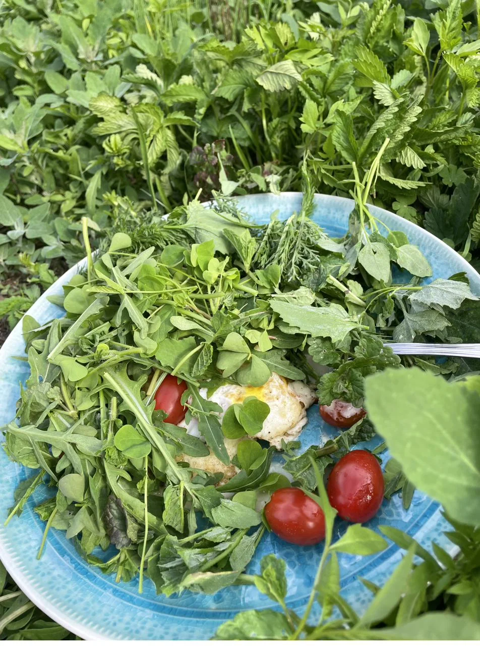 Ogród przy restauracji Ponad Czasem w Legnicy, zdjęcie 30