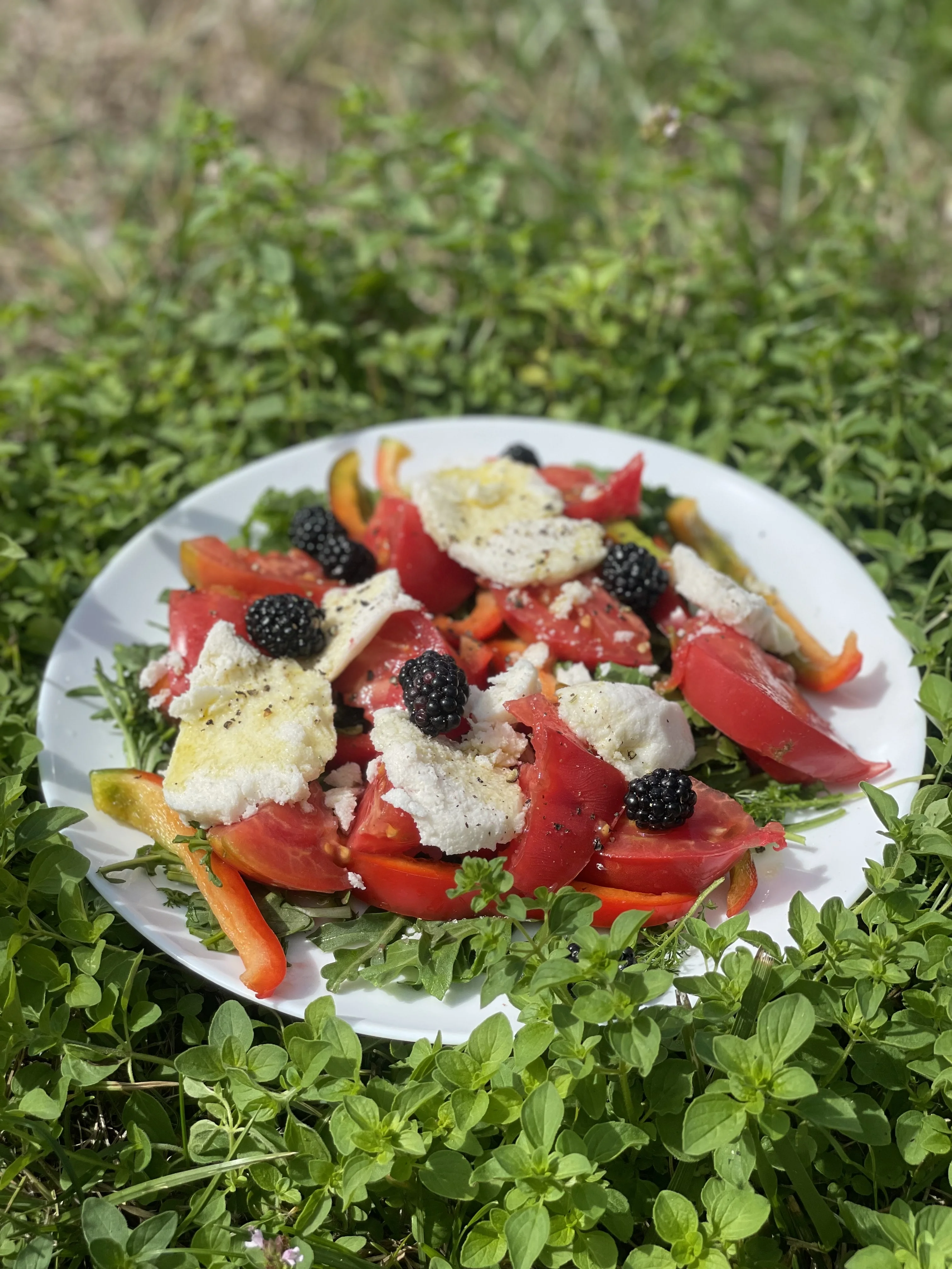 Ogród przy restauracji Ponad Czasem w Legnicy, zdjęcie 42